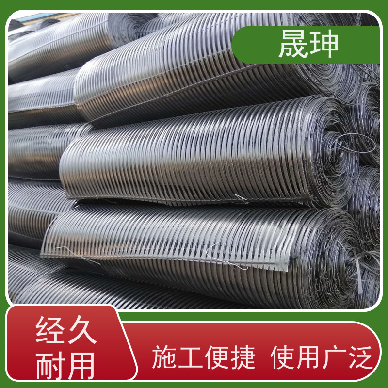 晟珅 长期供应 抗拉力强单向塑料格栅 施工便捷 诚信经营