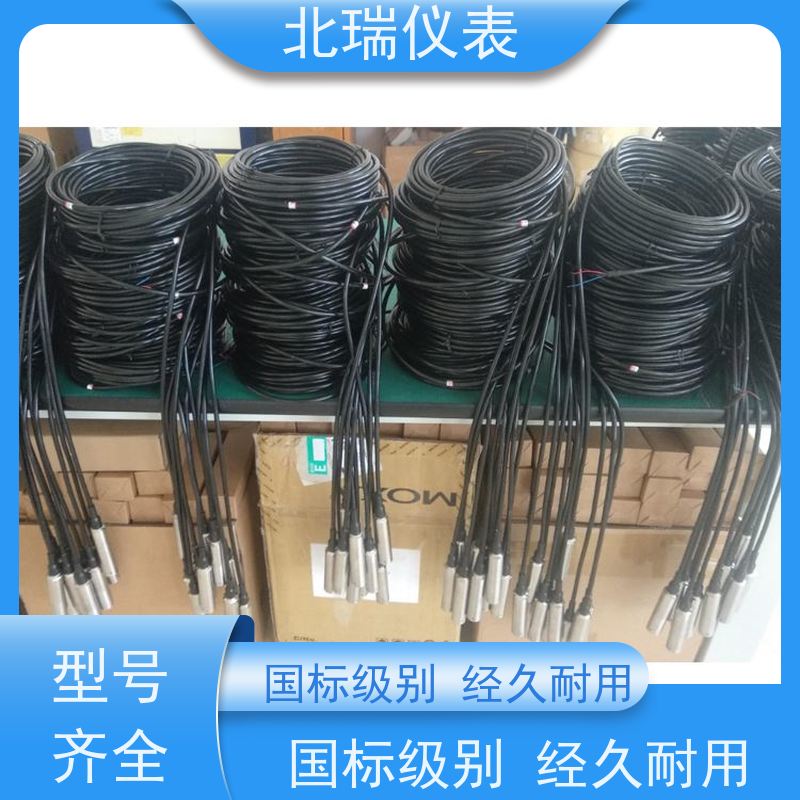 北瑞仪表 测量标准 体积小 高灵敏度高精度 严选原材 品质放心