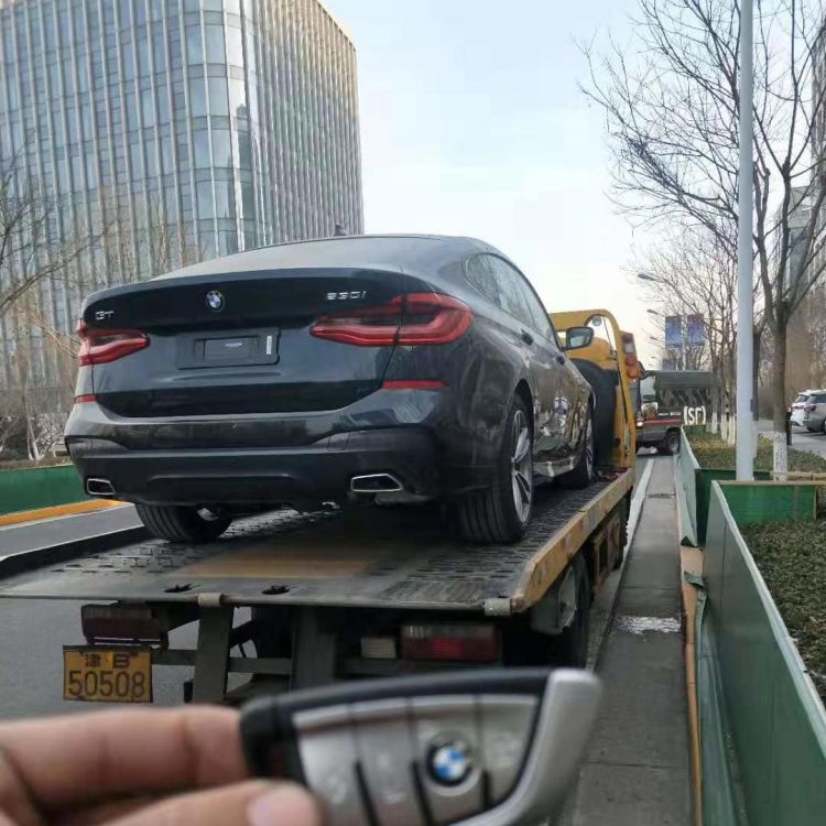 益阳 郴州 金百顺 笼车托运汽车 安全快捷 面包车直达运输 新车往返运送