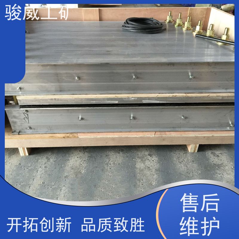 DRLJ-1200*1000 输送带热硫化机 防爆型可选 自动控温操作简单
