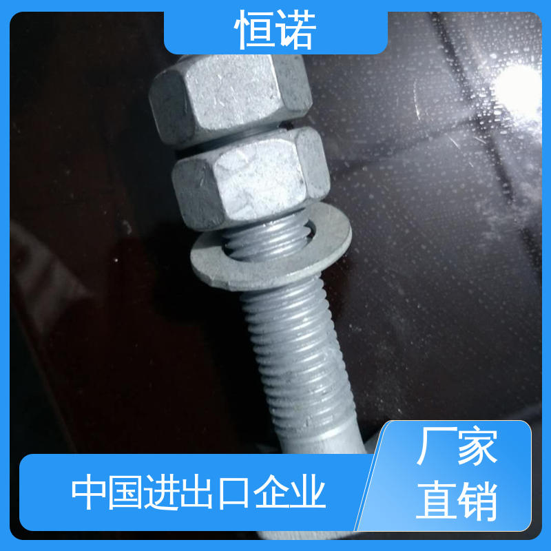 来图定做 规格齐全 源头工厂 8.8级T型螺栓 恒诺