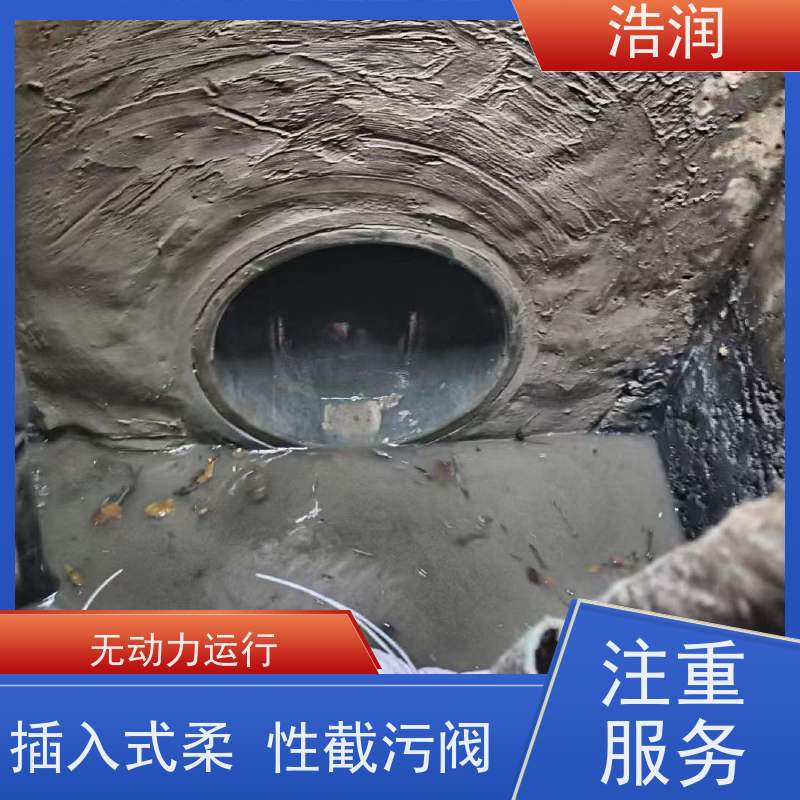 浩润 长期供应 管中型防倒灌器 316不锈钢 货源充足
