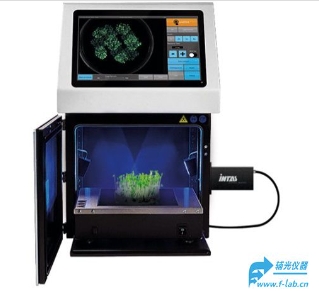 植物荧光成像仪,植物体内成像系统,GFP和YFP荧光成像