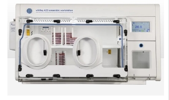 辅光精密仪器厌氧工作站 进口品质厌氧箱 FPWHI-A35型号