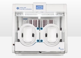 辅光仪器FPWHI-A20精准厌养培养箱 进口品质厌氧工作站