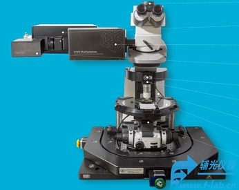 辅光仪器FP3i-multiphoton多光子显微镜成像系统