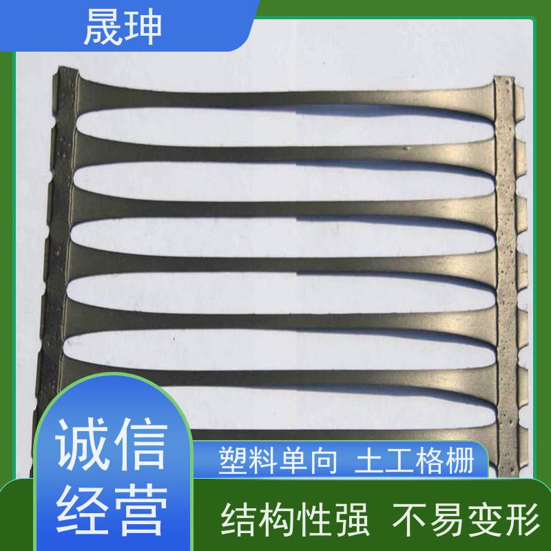 晟珅 全国供应 单向塑料土工格栅 施工便捷 品质可信