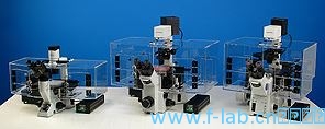 辅光仪器显微镜培养箱 台式带光源型号FPMIC-CO2