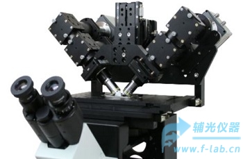 辅光仪器FPASI-iSPIM台式光片显微镜40-1000X带光源