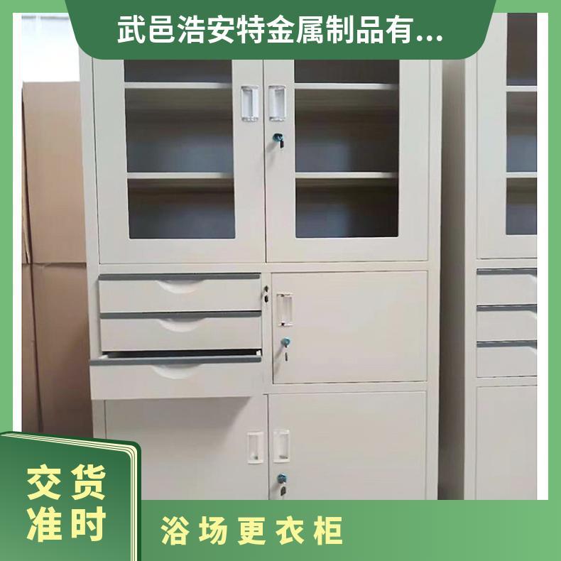 浩安特厂家 办公室资料柜 铁 可选 尺寸1850*900390 柜子偏三屉文件柜