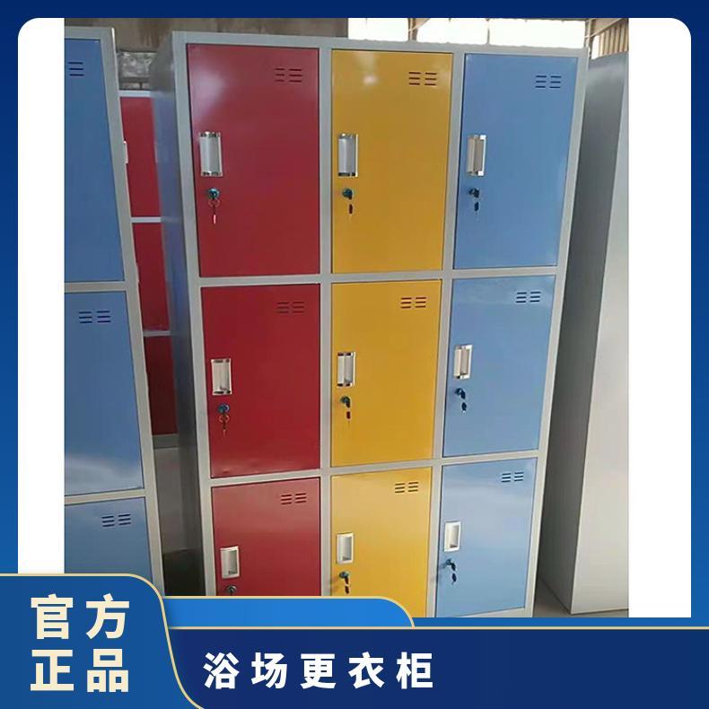 彩色铁皮更衣柜 静电粉末喷涂 金属 冷轧钢板 简约时尚 来图定制