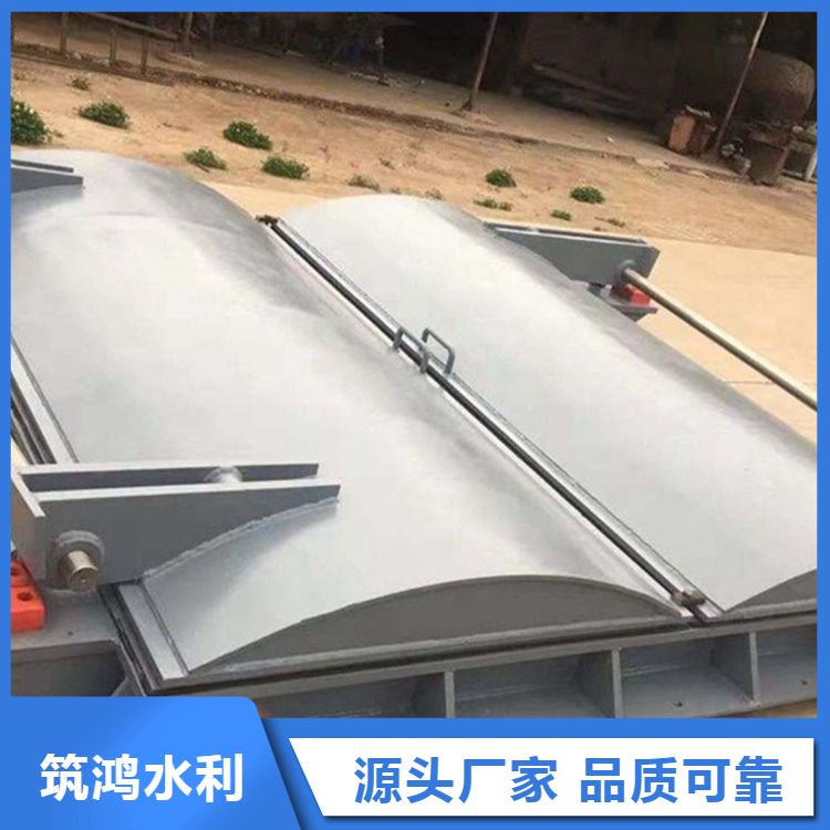 厂家批发钢制拍门 侧开出水口 管道用防倒灌 应用广泛