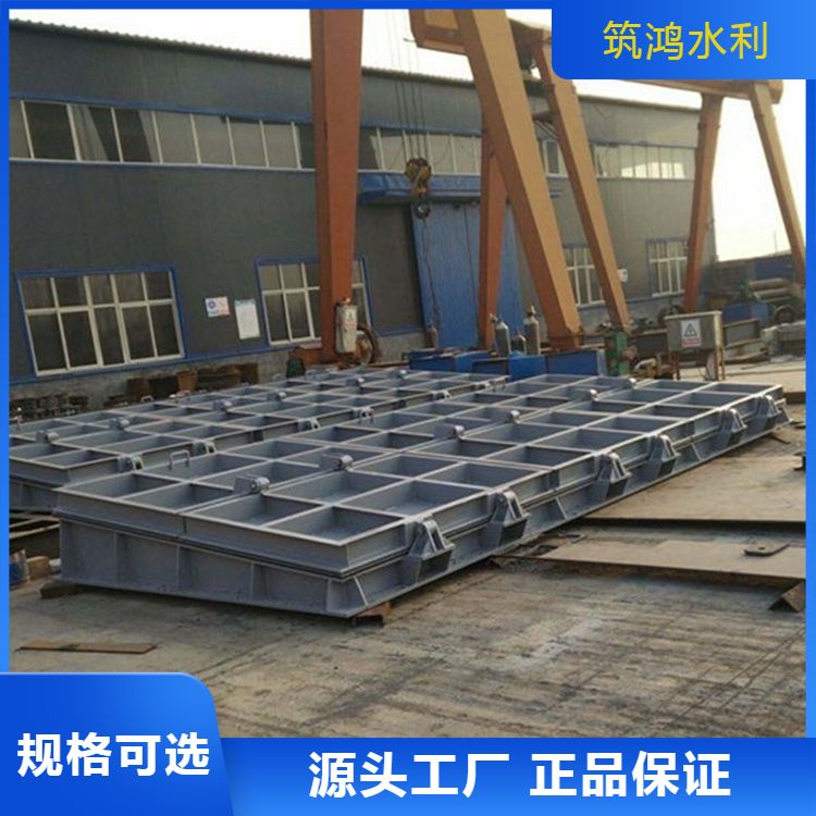 厂家批发钢制拍门 侧开出水口 管道用防倒灌 应用广泛