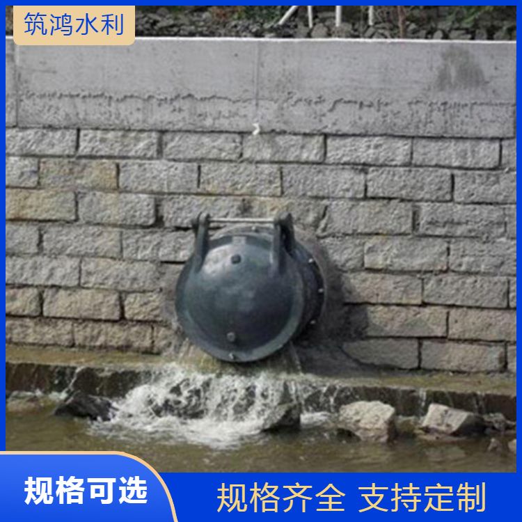 厂家批发钢制拍门 侧开出水口 管道用防倒灌 应用广泛