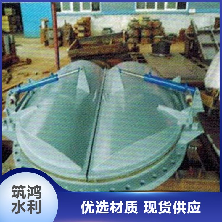 厂家批发钢制拍门 侧开出水口 管道用防倒灌 应用广泛