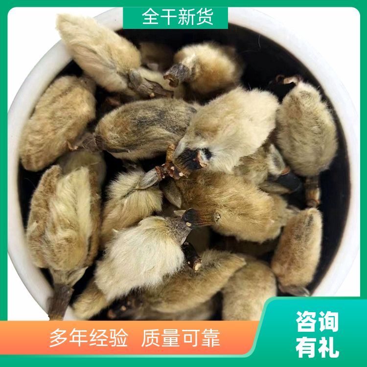 正宗毛桃望春花500g卤虾主料辅料香粉香料大全毛桃辛夷花 口味纯正 