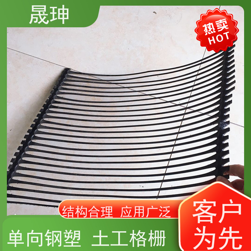 晟珅 长期供应 单向塑料土工格栅 使用时间长 货源充足