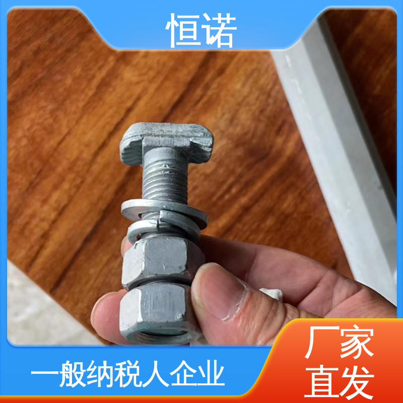 恒诺 8.8级T型螺栓 防腐性好 来图定做 厂家供应