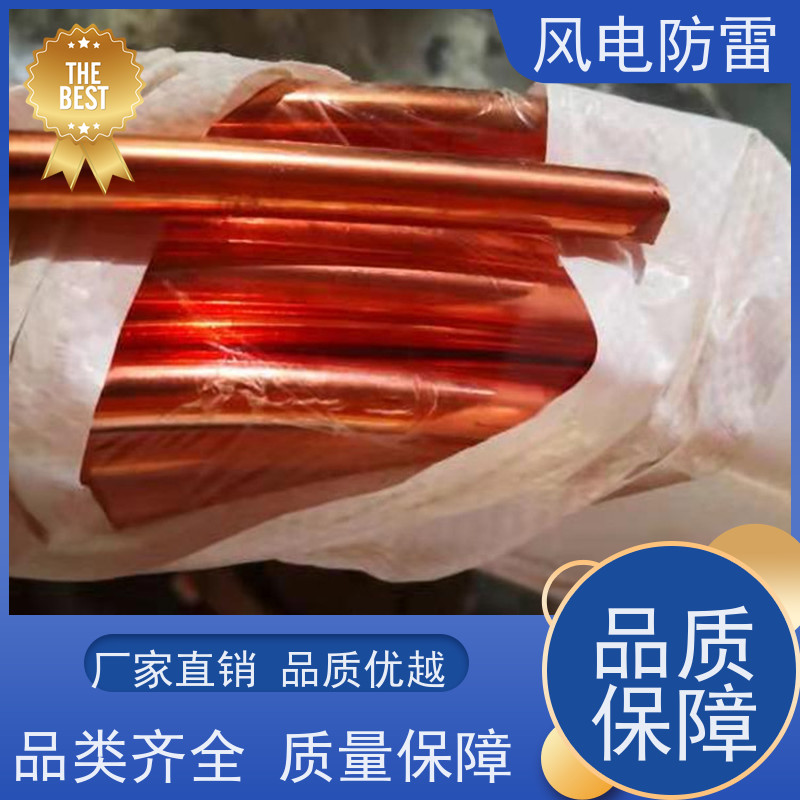 风电防雷 质量保障 可按需定做 石 墨材料阻值低 铜包钢接地扁钢50*5mm