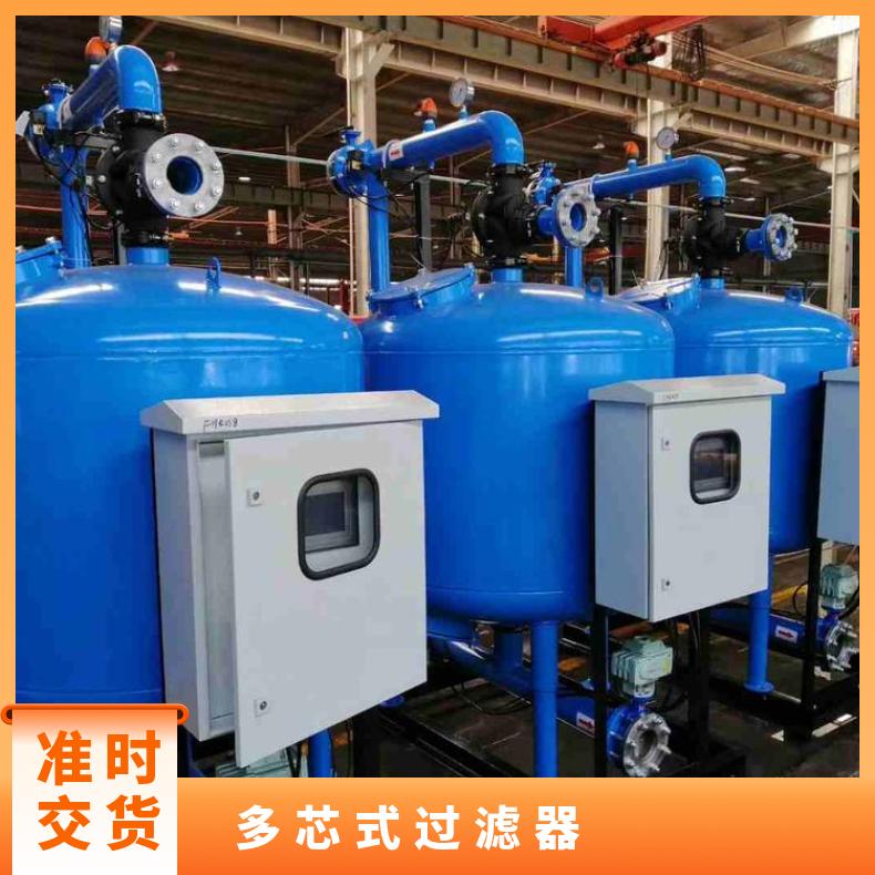 多芯式过滤器 循环水网技术参数 工厂企业用水 型号BF-2001 励进