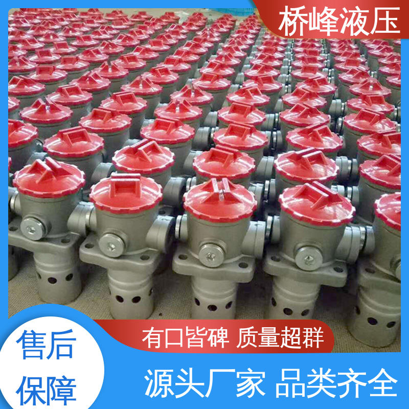 值得信赖 回复迅速 简单快捷 管式吸油过滤器 桥峰