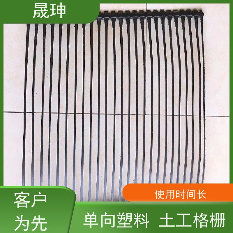 晟珅 长期供应 抗拉力强单向塑料格栅 结构合理 诚信经营