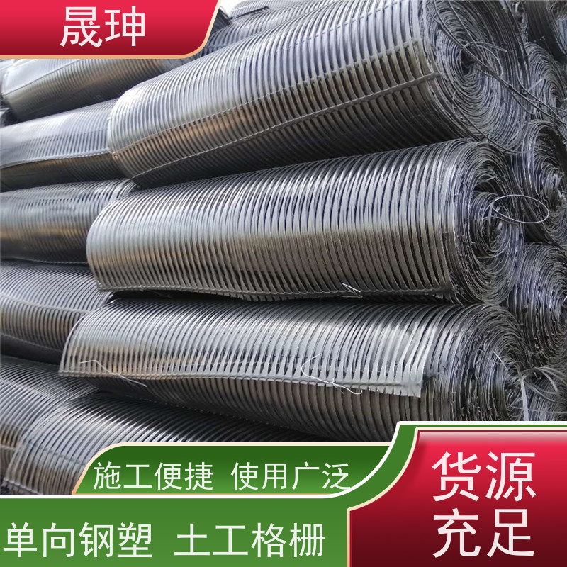 晟珅 长期供应 单向塑料土工格栅 应用广泛 品质可信