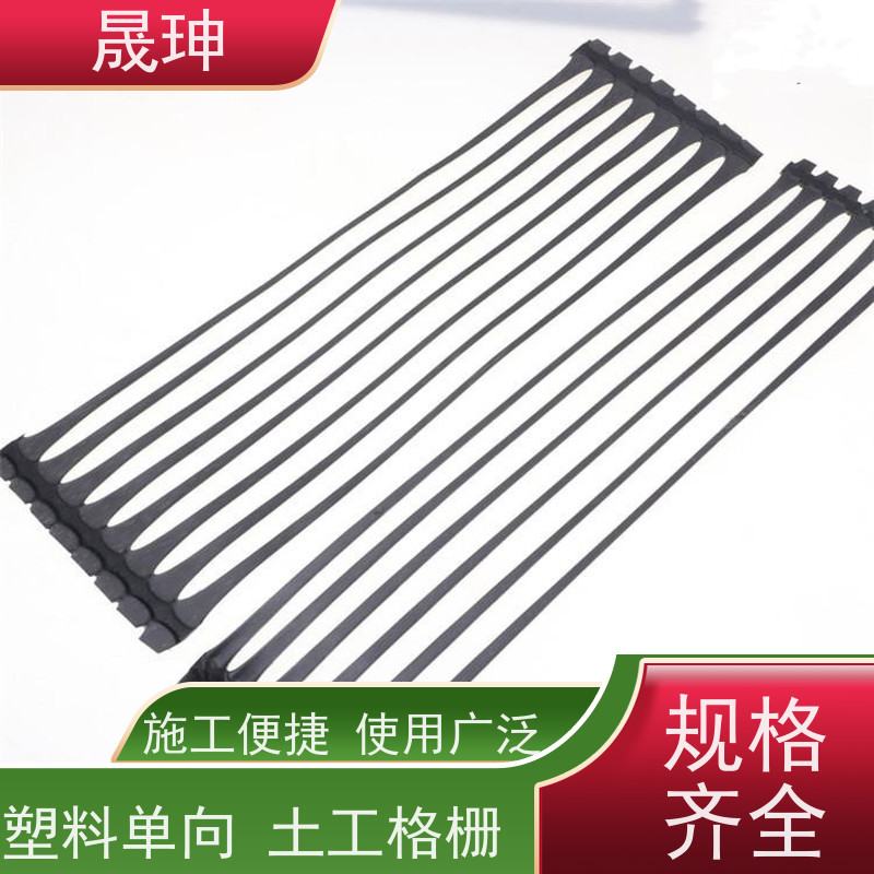 晟珅 全国供应 单向塑料土工格栅 施工便捷 性价比高