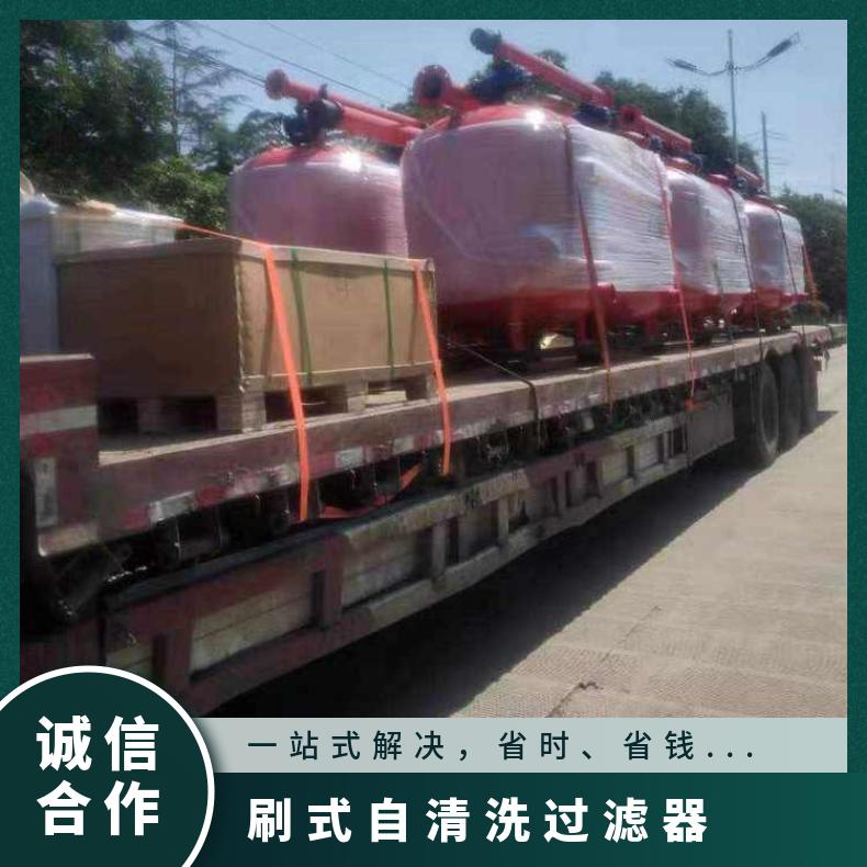 网式过滤器 电动刷反冲洗技术参数 励进 工厂企业用水 LJAGF48-1