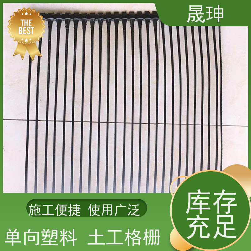晟珅 实力厂家 单向塑料拉伸土工格栅 结构合理 性价比高