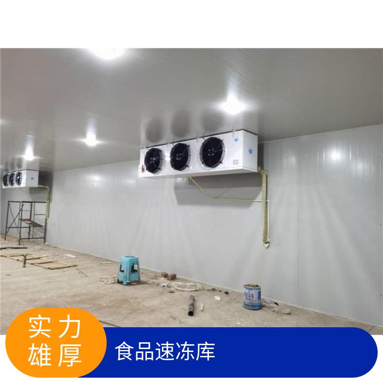 北七家中央厨房冷库工程安装 食品冷冻库制作 蔬菜保鲜库
