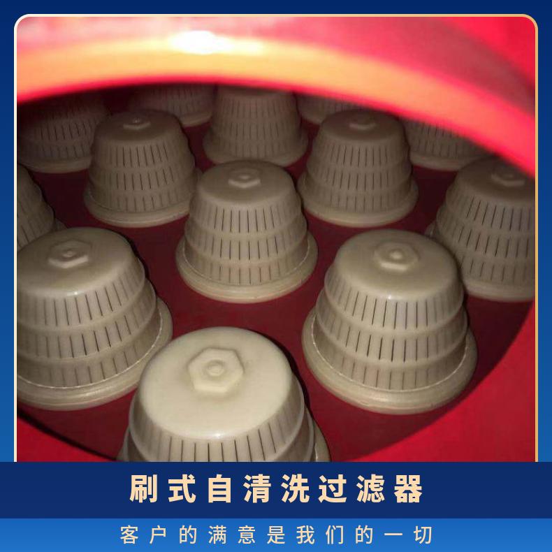 自清洗过滤器 电动刷式反冲洗批发 励进 农业灌溉、工业循环水