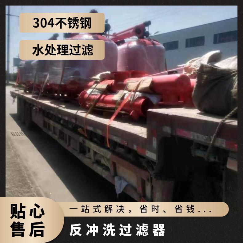反冲洗过滤器 电动刷式网种类 工厂企业用水 LJAGF48-1 励进