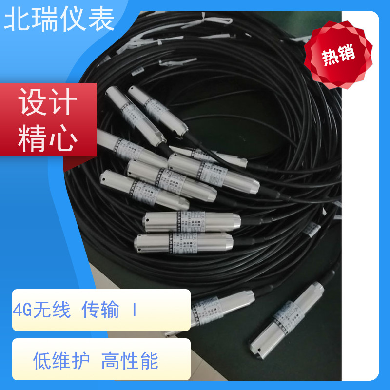 北瑞仪表 投入式水温计 严选原材 品质放心 体积小重量轻 安装维护方便