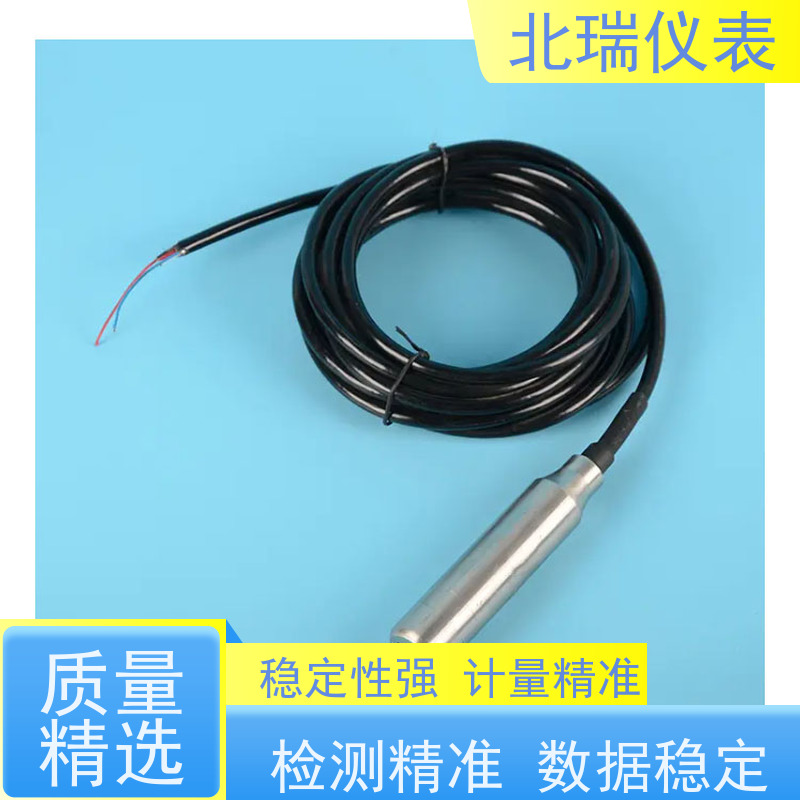 北瑞仪表 耐温耐压耐腐蚀 厂家供应 售后无忧 地下水水位计