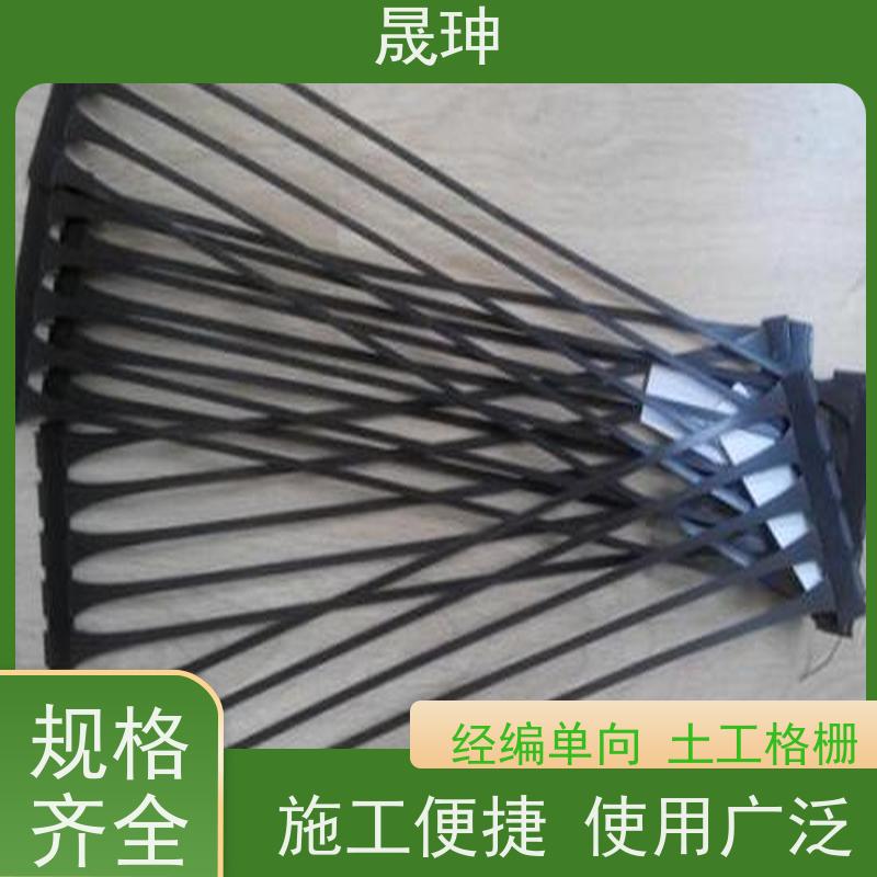晟珅 实力厂家 抗拉力强单向塑料格栅 施工便捷 品质可信
