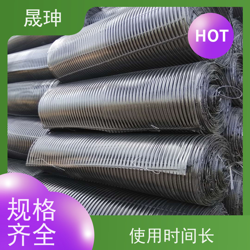 晟珅 实力厂家 抗拉力强单向塑料格栅 结构合理 货源充足