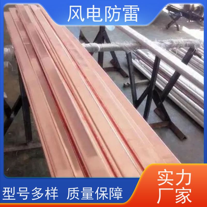 风电防雷 质量保障 可按需定做 石 墨材料阻值低 50*5mm镀铜扁钢