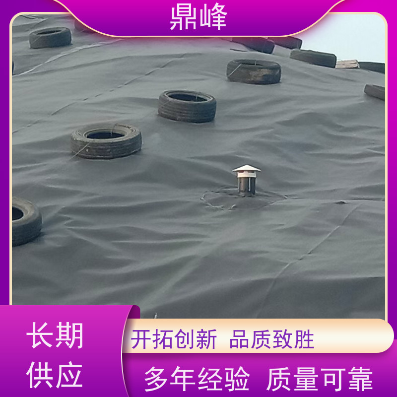 鼎峰 糙面 土工膜 防止化学品渗透保护地下水源