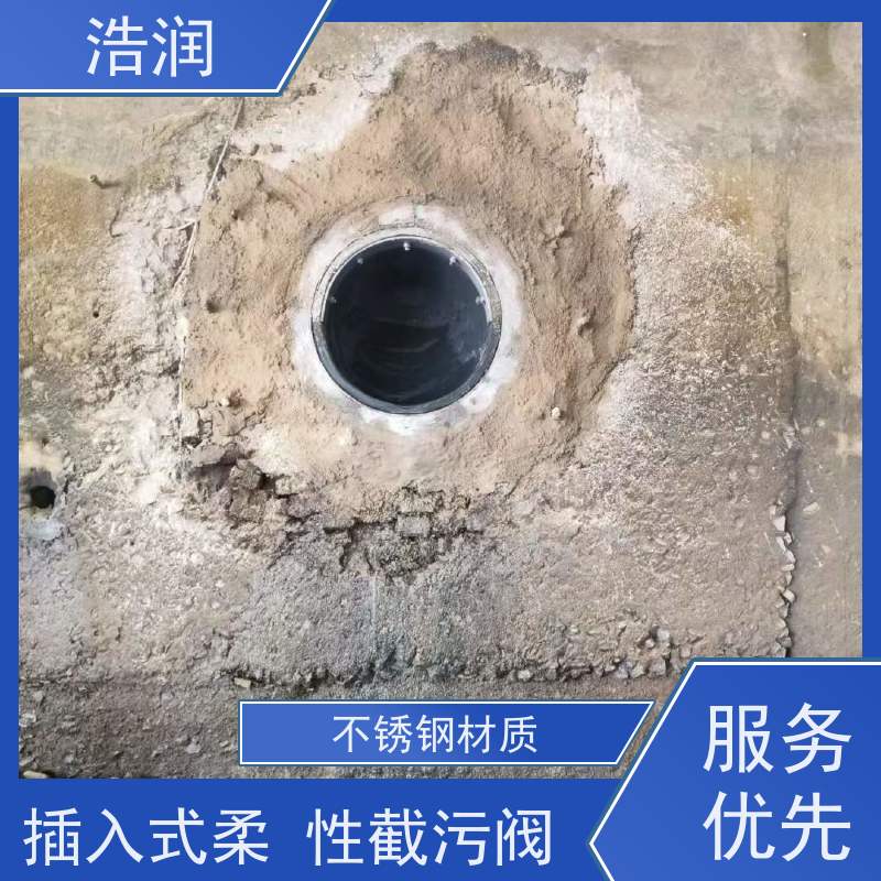 浩润 长期供应 不锈钢管中型内置防倒灌器 优选材料 持久耐用 按需定制