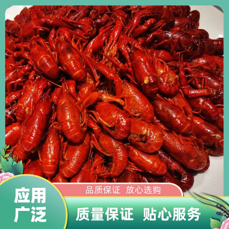 油焖大虾香料包70g口味齐全香辣蒜蓉麻辣泡椒小龙虾调料开店商用 