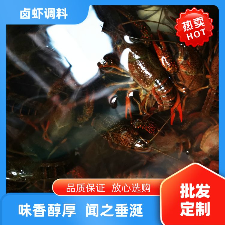 油焖大虾酱料龙虾酱料五香麻辣小龙虾调料炮头大青中青小青 