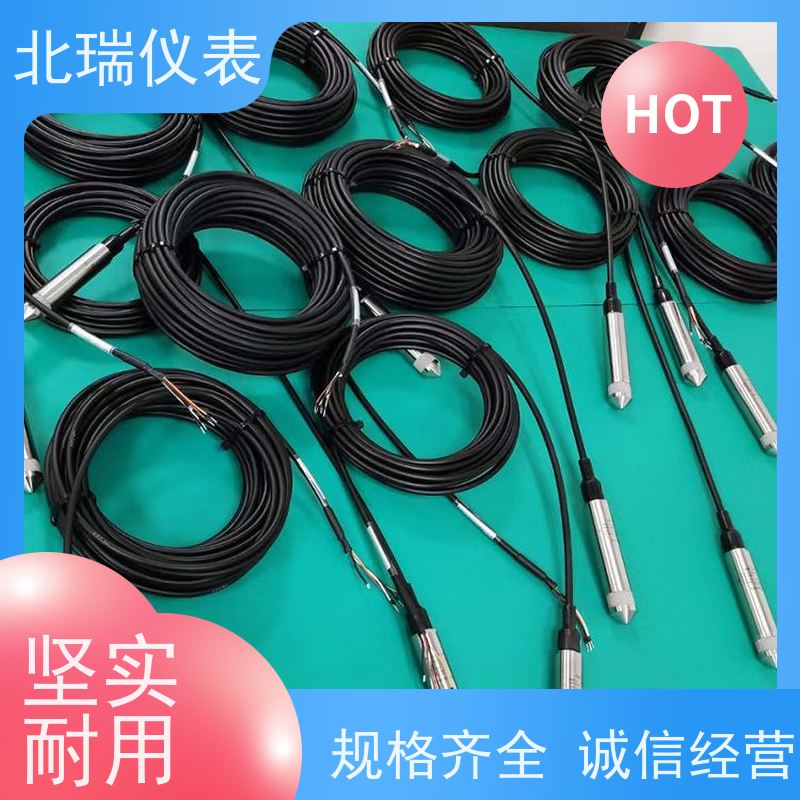 北瑞仪表 数字型渗压计 孔隙?压?计 灵敏度? 严选原材 品质放心