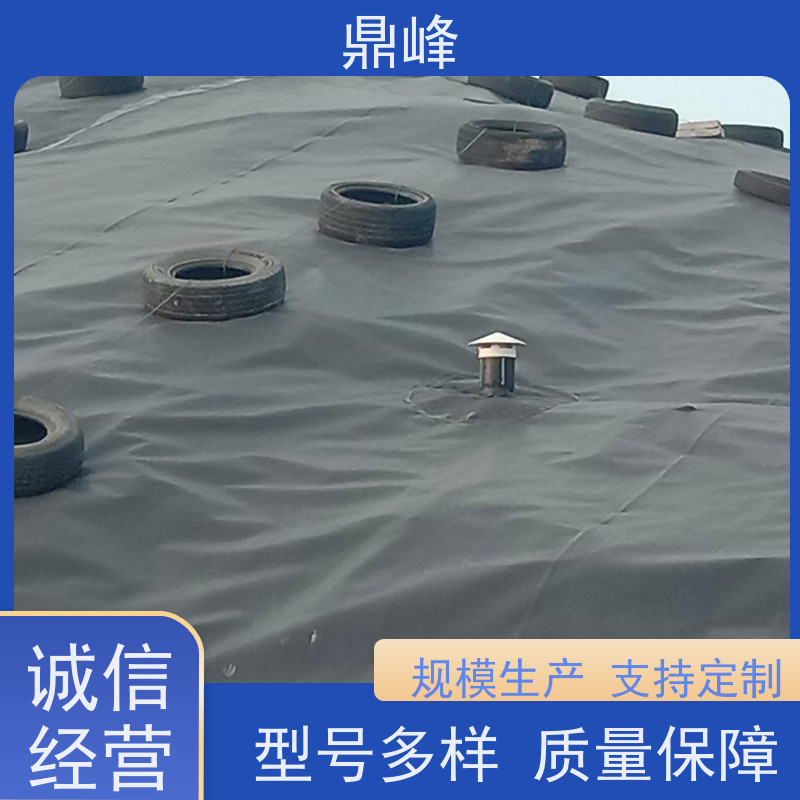 鼎峰 蓄水池防渗膜 土工膜 抗老化性能强经久耐用