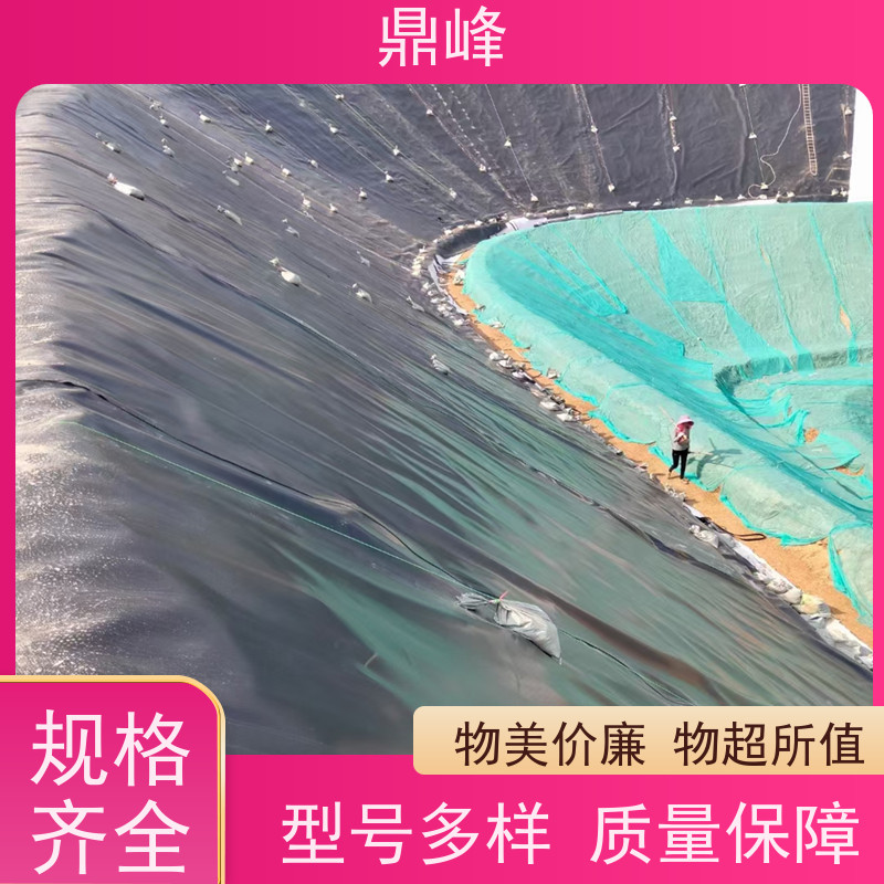 鼎峰 进口hdpe 土工膜 适应各种地质条件应用广泛