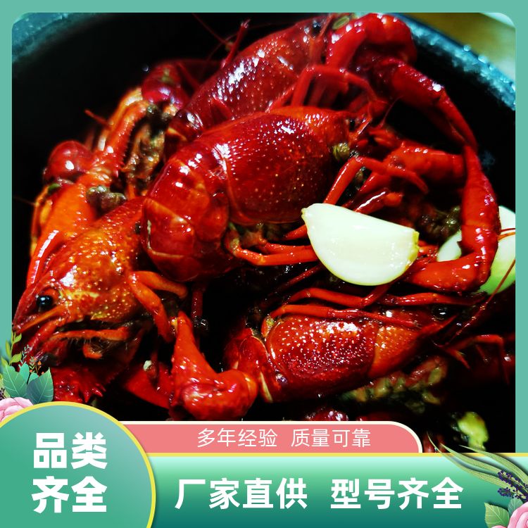 油焖大虾料包家商用有卤虾回味膏虾粉增香增鲜小龙虾调料 厂商销售 
