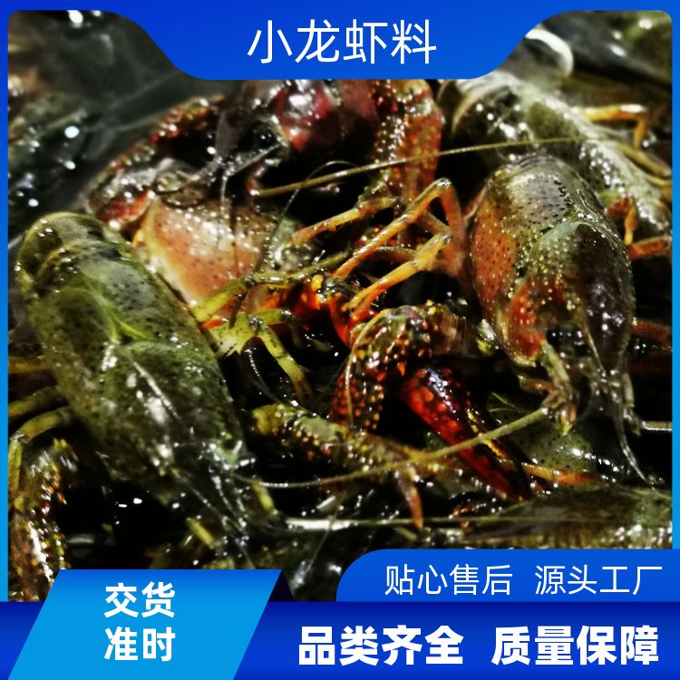 一口香卤虾手抓龙虾还有藤椒风味酱料包配料齐全龙虾料包 虾店商用 