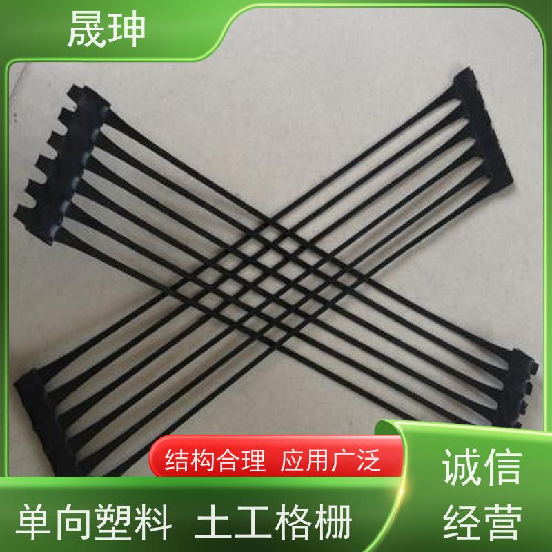 晟珅 实力厂家 抗拉力强单向塑料格栅 施工便捷 性价比高