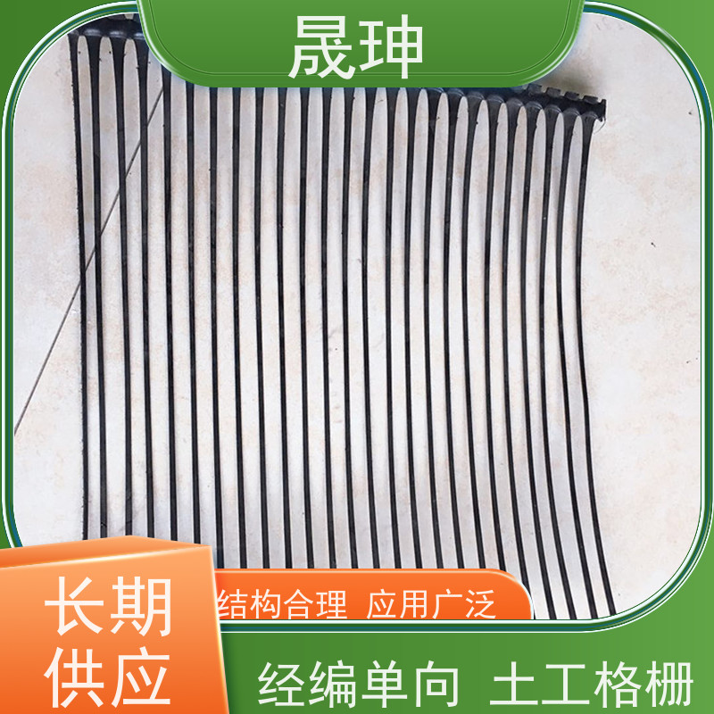 晟珅 长期供应 抗拉力强单向塑料格栅 不易变形 品质可信