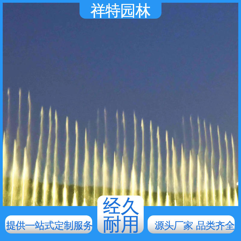 祥特 多年经验 拉线水帘 水景工程施工 颜色绚丽